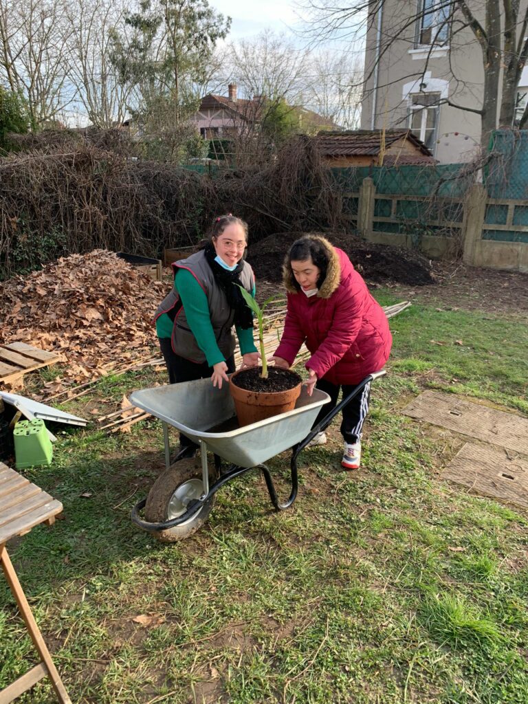 PROFESSIONNEL(10)